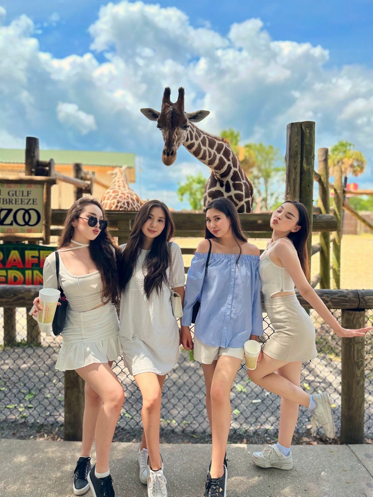 whatsapp_image_2025-06-18_at_140233_1